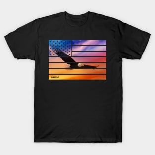 American flag and eagle T-Shirt